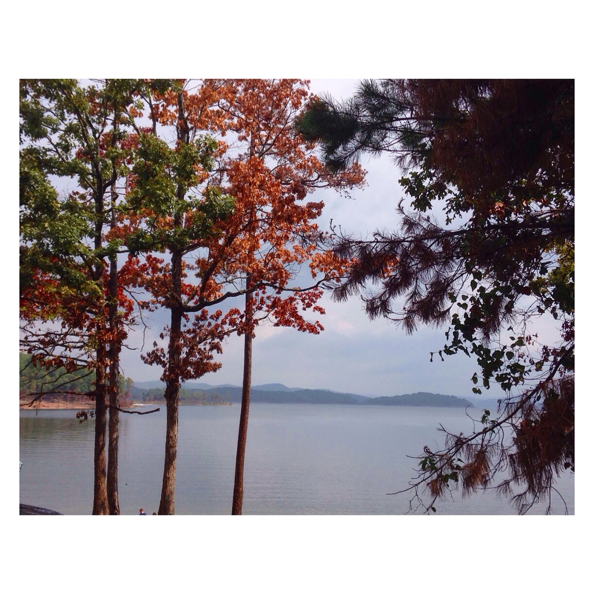 31 Amazing Things to Do in Broken Bow, OK Area