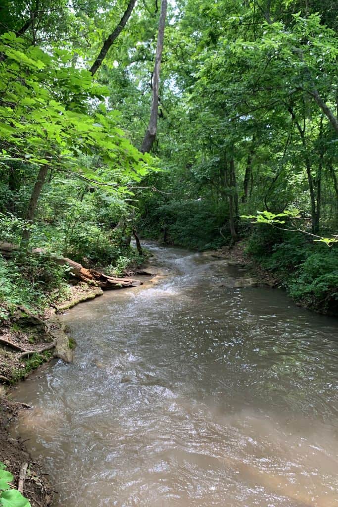 creek in Chickasaw National Recreation Area